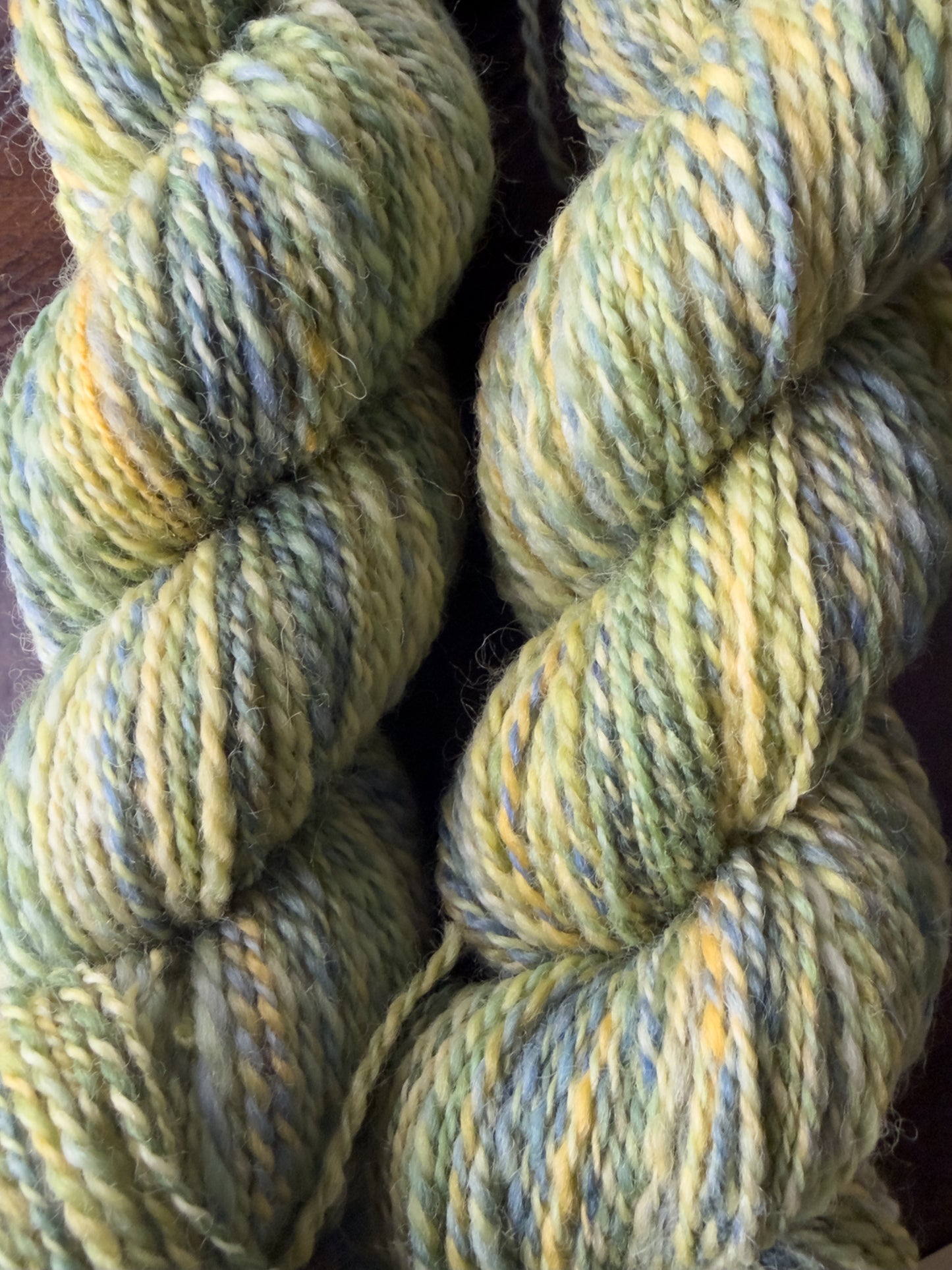 Handspun Yarn: 2-ply Corriedale wool, “Sea Creatures”