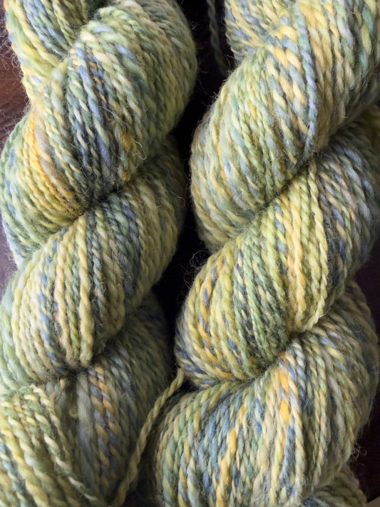 Handspun Yarn: 2-ply Corriedale wool, “Sea Creatures”